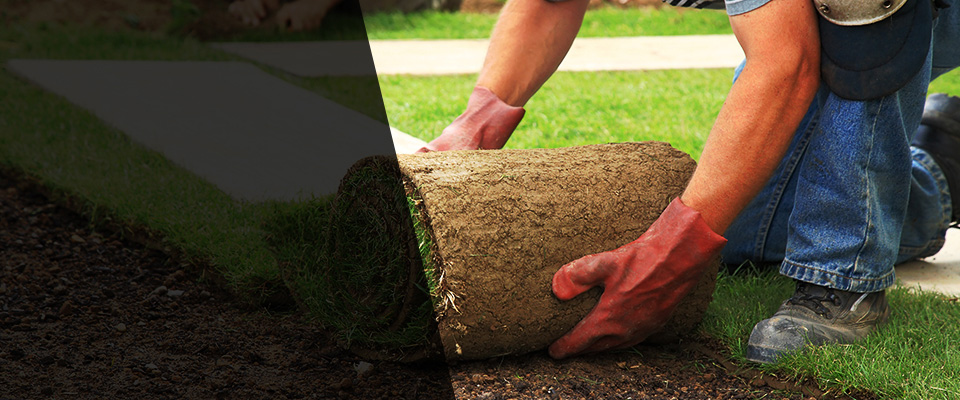 Bandon Landscapers